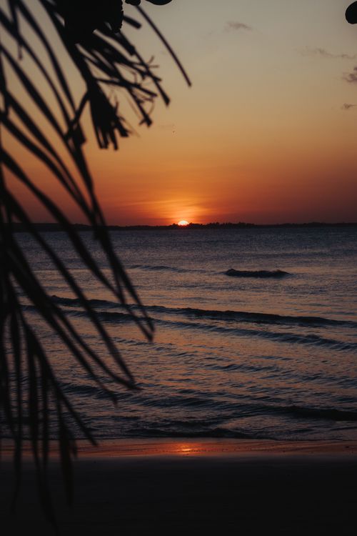 Free Serene sunset on the beach at Paracuru, Brazil, with palm silhouettes and gentle waves. Stock Photo