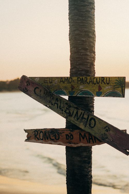 Free Vibrant wooden signpost on a palm tree by the shore in Paracuru, Brazil during sunset. Stock Photo