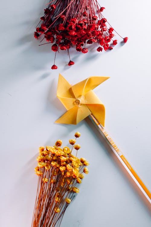 Kostenloses Stock Foto zu blumen, dünn, nahansicht