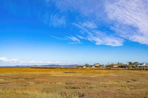 Fotos de stock gratuitas de campo de hierba, casas, cielo azul
