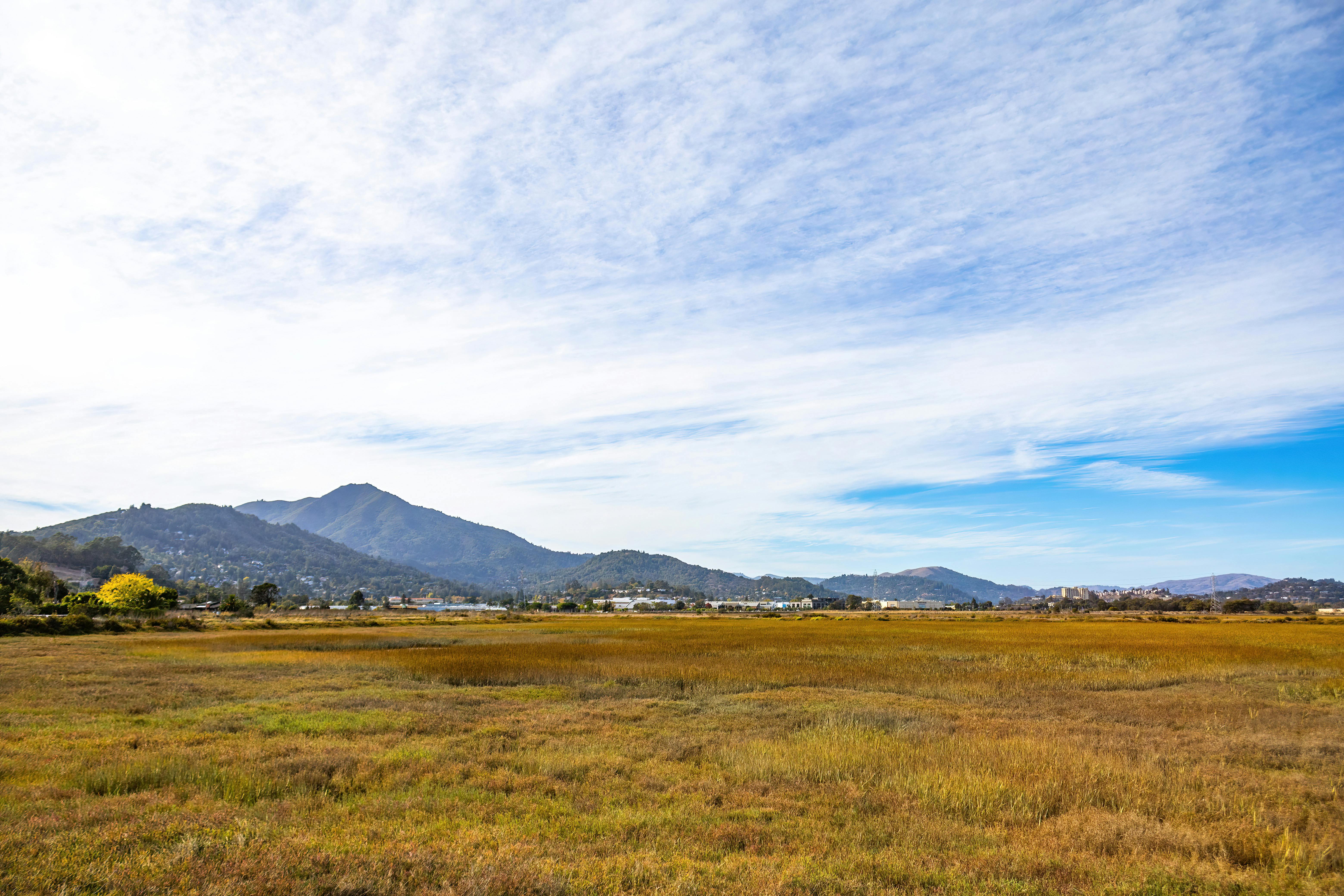 免費 全景, 前景, 和平的 的 免費圖庫相片 圖庫相片