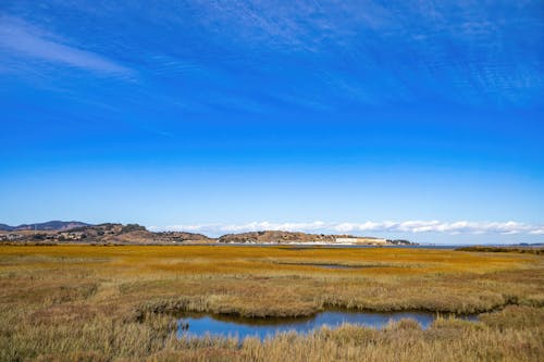 A Grass Field Near the Lake Under the Blue Sky