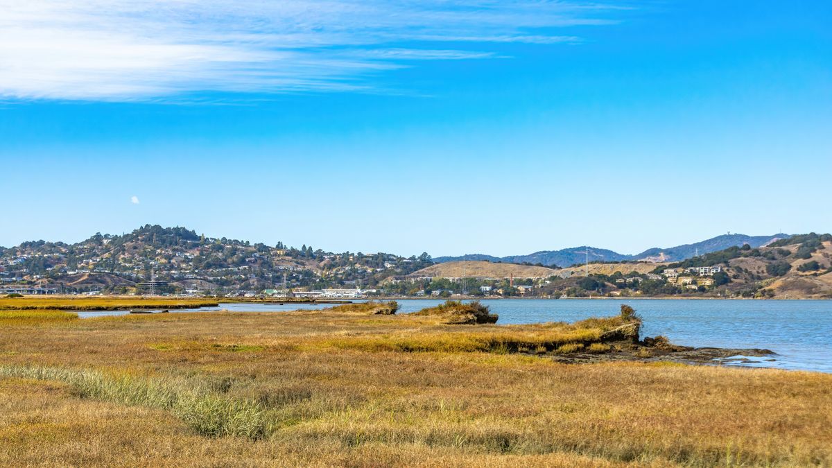 Top Chula Vista, CA Contest Alerts With No Purchase Necessary: Safe Entry Guide