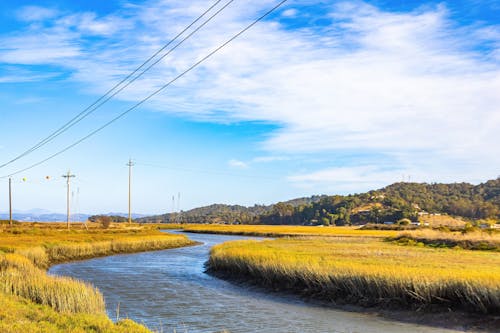 A River Between Green Grass Field Under the Blue Sky and White Clouds