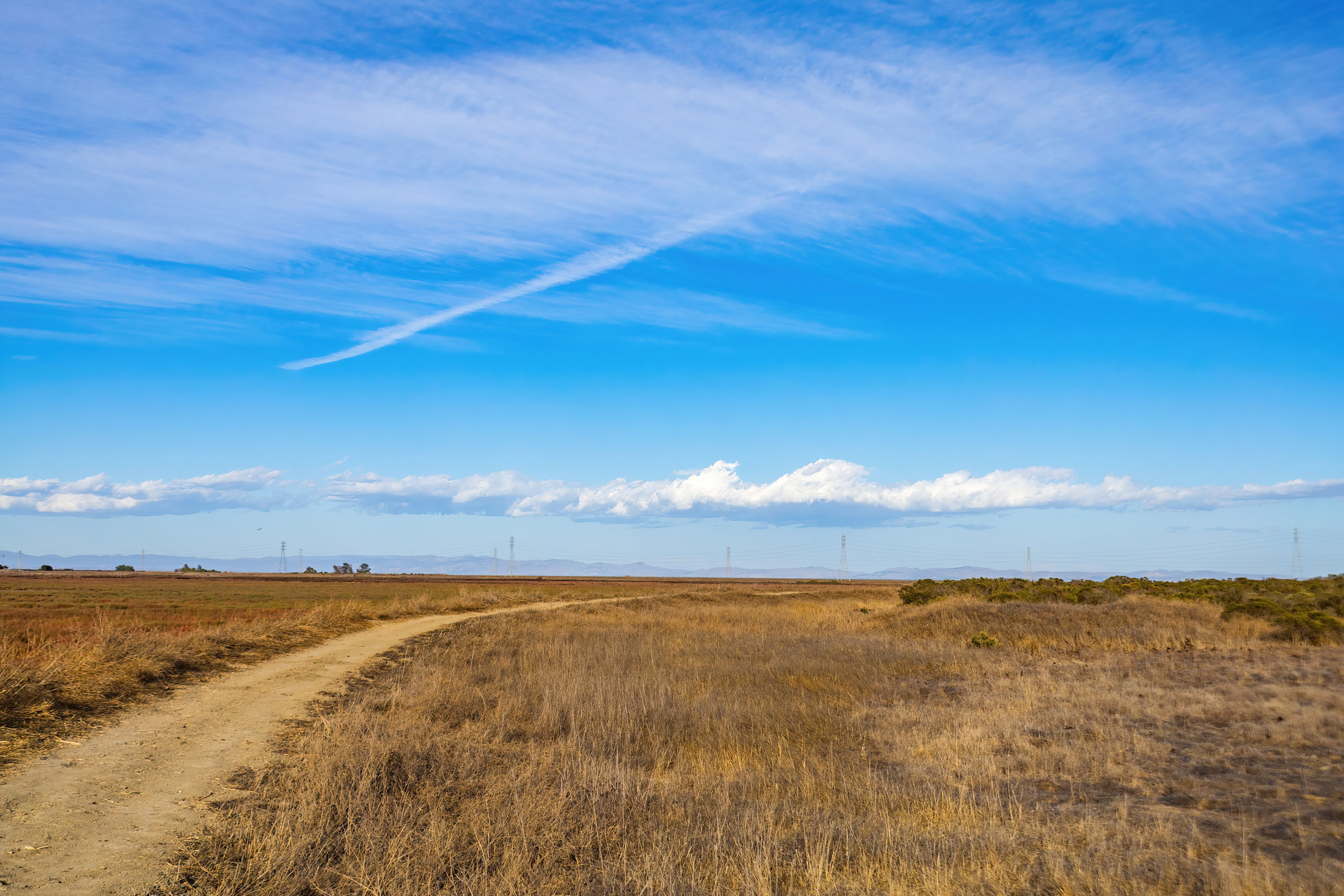A Grass Field Under the Blue Sky and White Clouds · Free Stock Photo