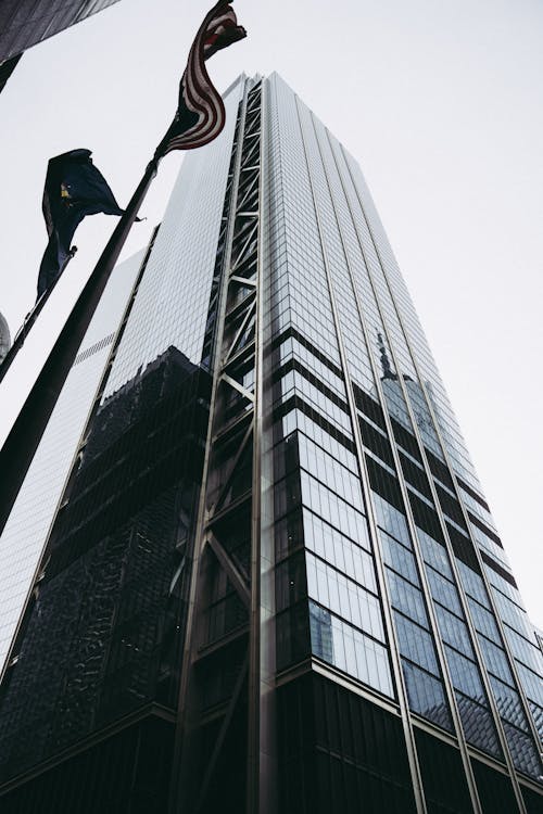 Free Skyscraper with Glass Panel Windows Stock Photo