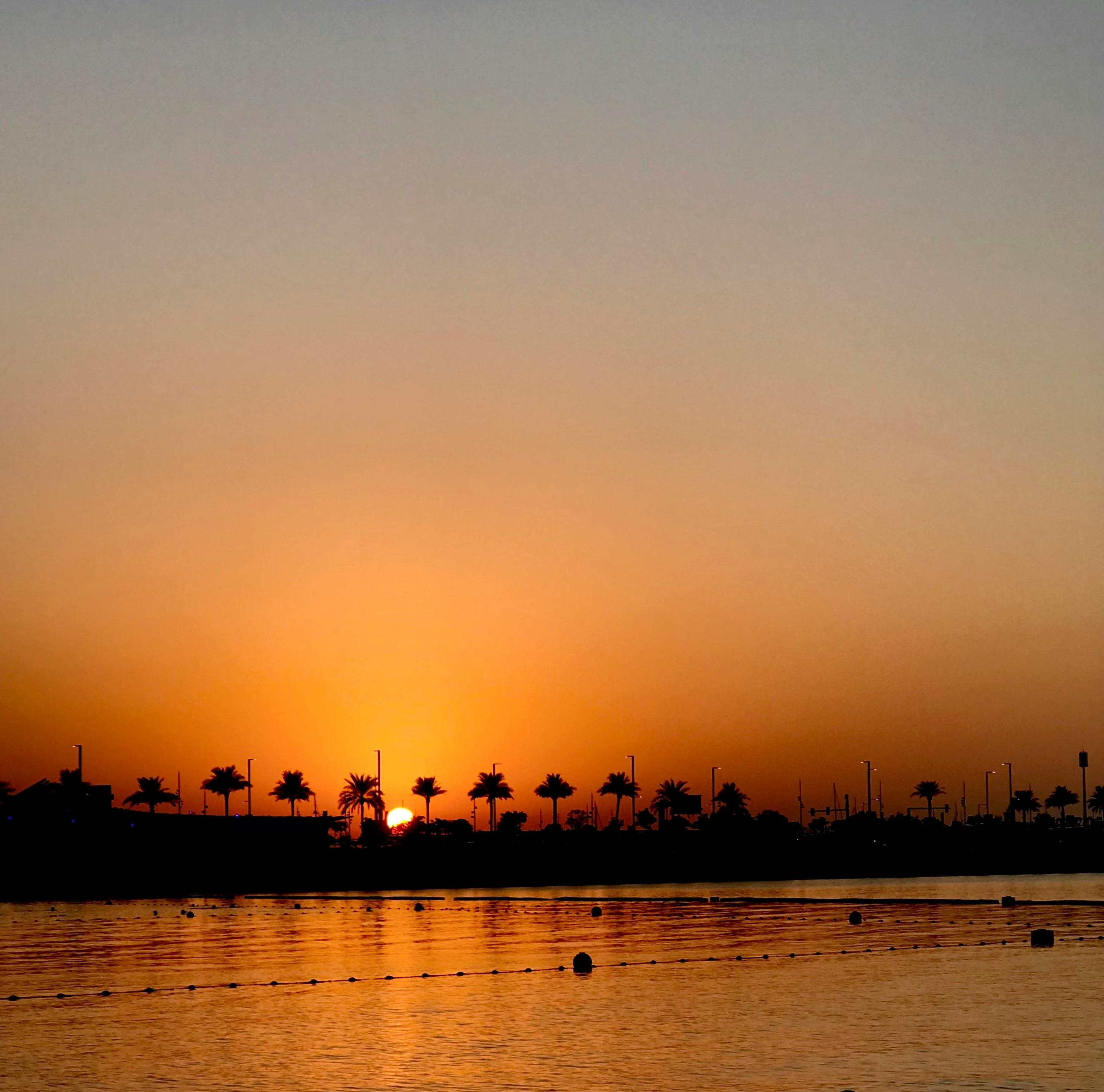 grass-field-during-sunset-free-stock-photo