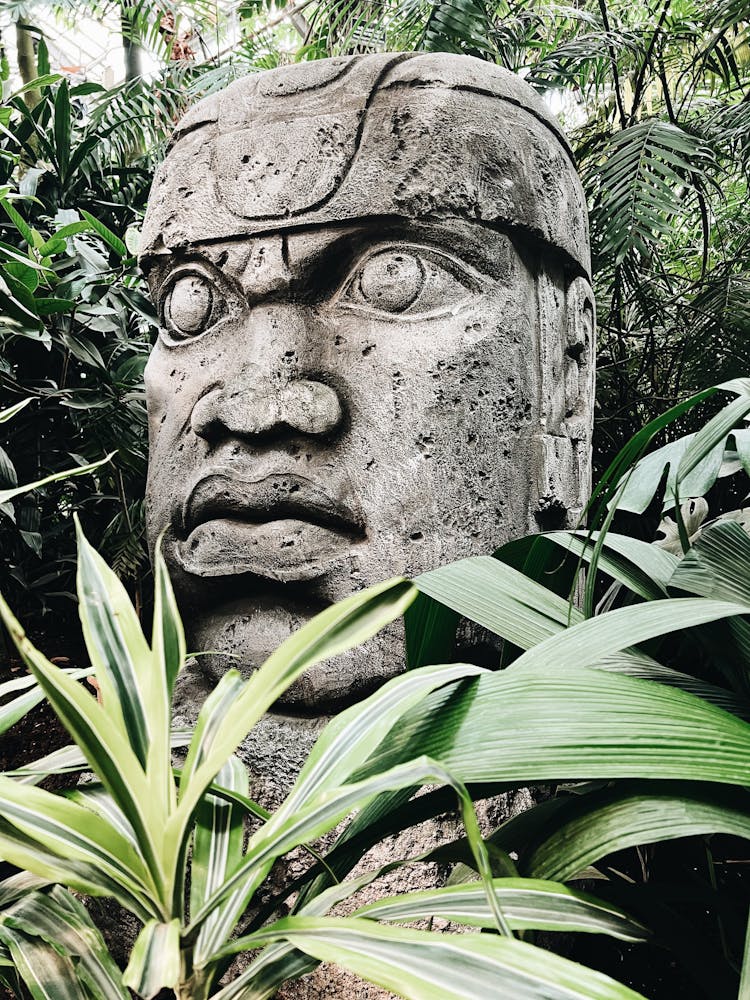 Statue Of A Head Surrounded With Plants