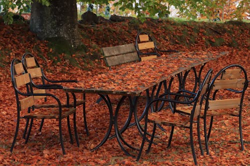 Бесплатное стоковое фото с деревянный стол, коричневый, листопад