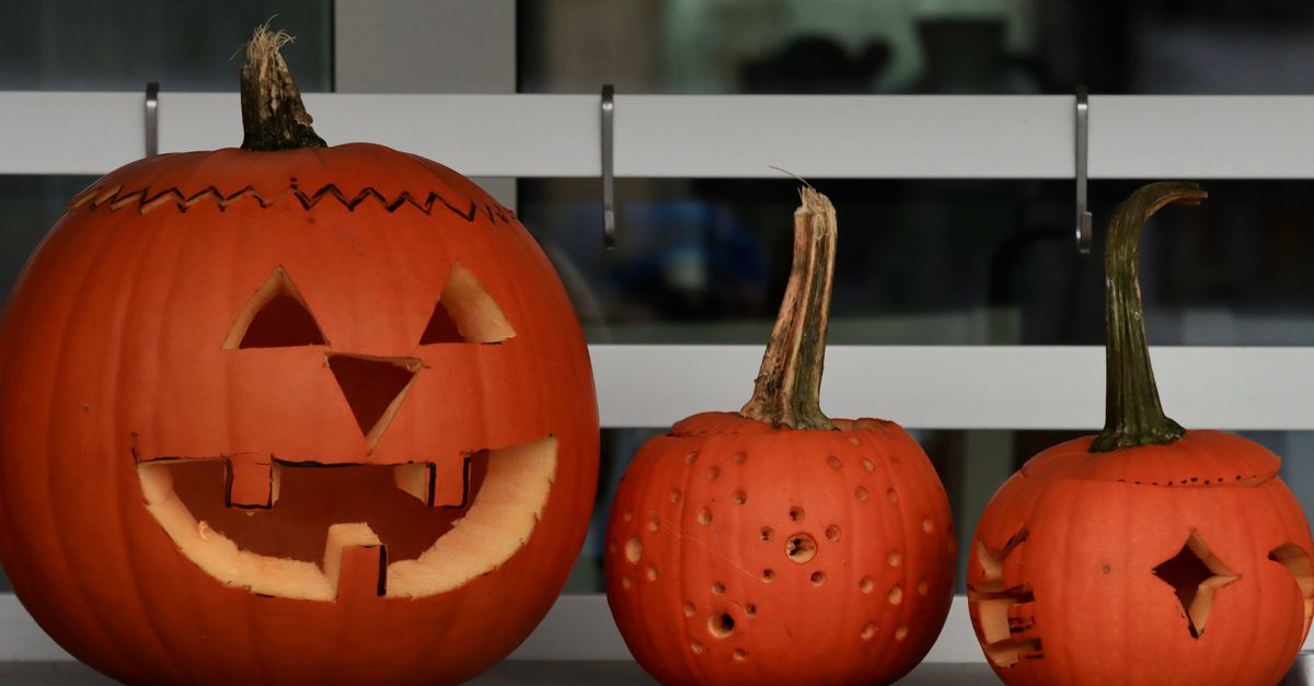 Comment conserver vos citrouilles Halloween plus longtemps