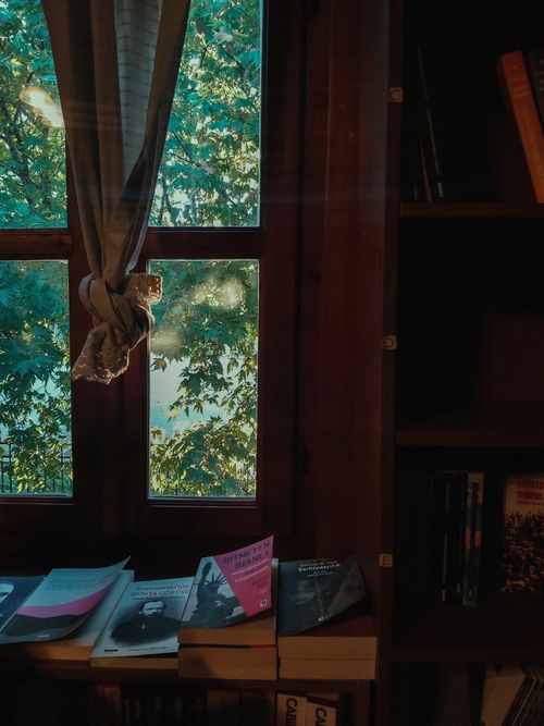 Free Sunlit window with books on a shelf, offering a cozy reading nook ambiance indoors. Stock Photo
