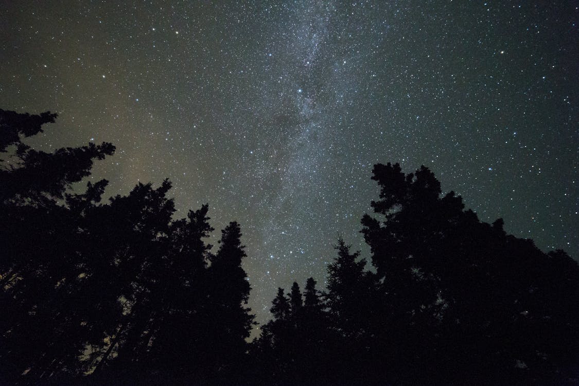 бесплатная Бесплатное стоковое фото с вечер, деревья, звездный Стоковое фото
