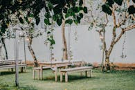 宁静的花园里，郁郁葱葱的葡萄树下设有木制长椅和桌子