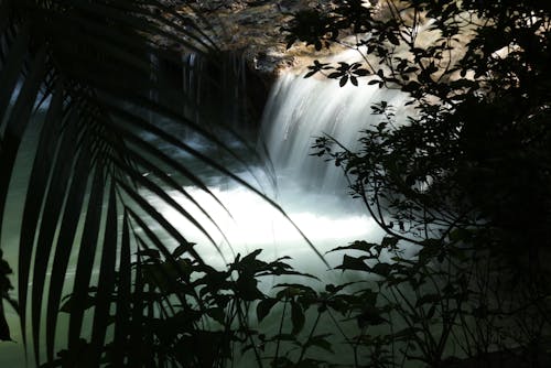 Бесплатное стоковое фото с водопад, глубокий, заводы