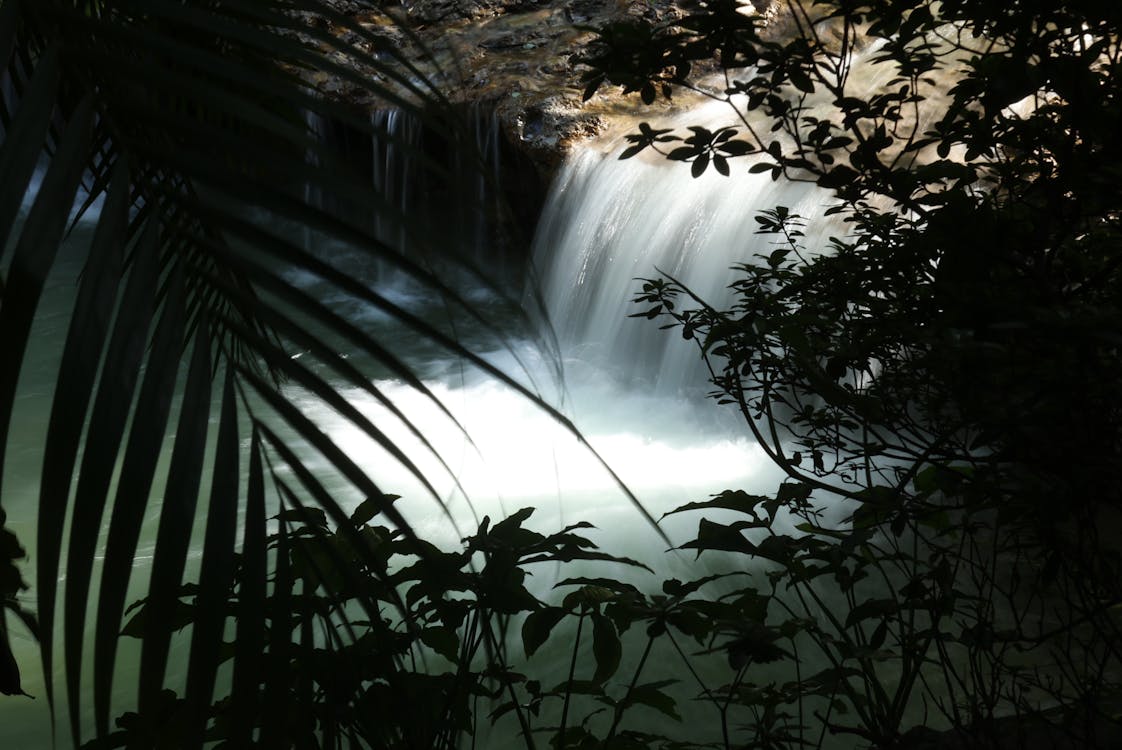 Foto profissional grátis de água corrente, cachoeira, corrente