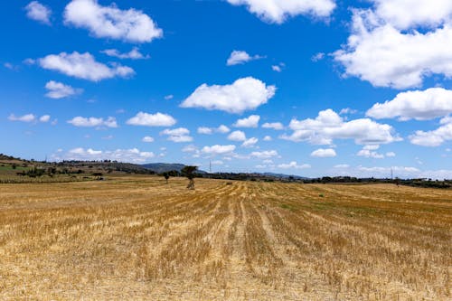 Gratis lagerfoto af bane, blå himmel, landbrugsjord