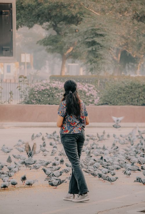 Free A woman walks among a flock of pigeons on a sunny day, creating a tranquil outdoor scene. Stock Photo