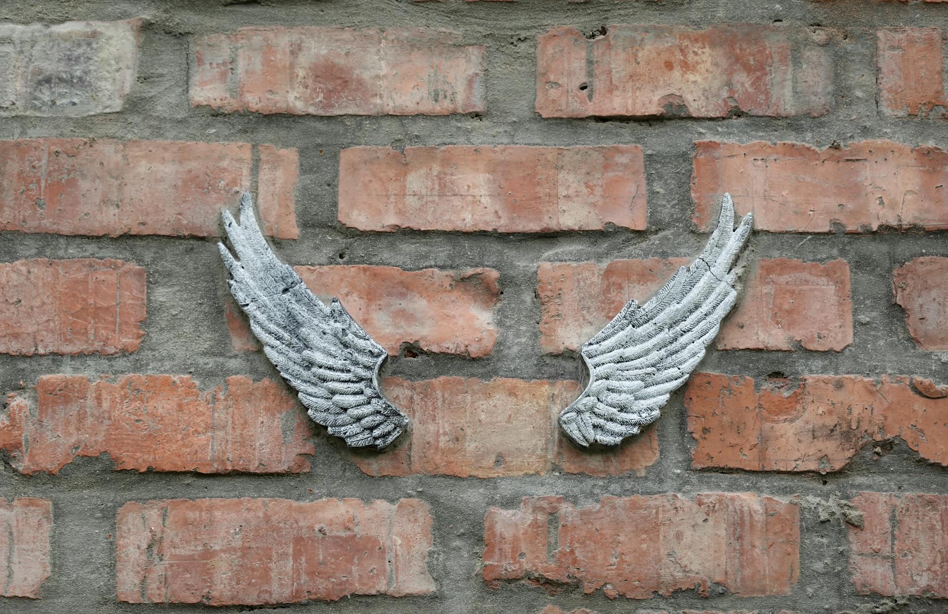 Wings Hanging on the Wall