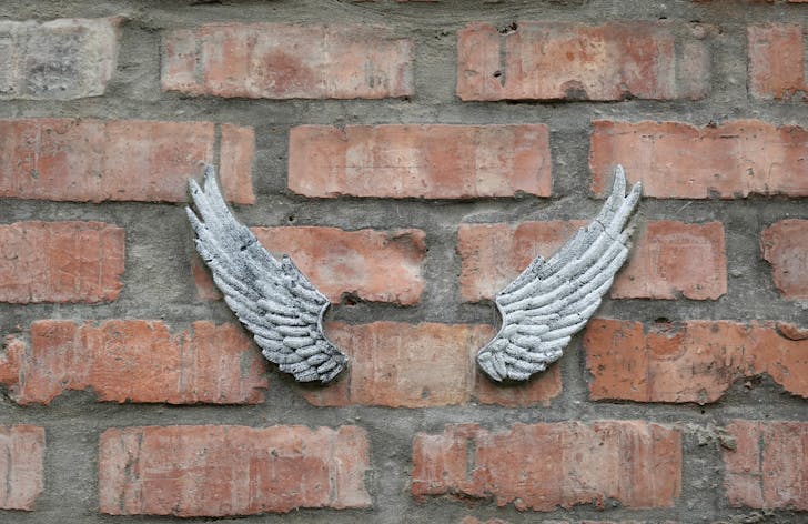 Wings Hanging on the Wall