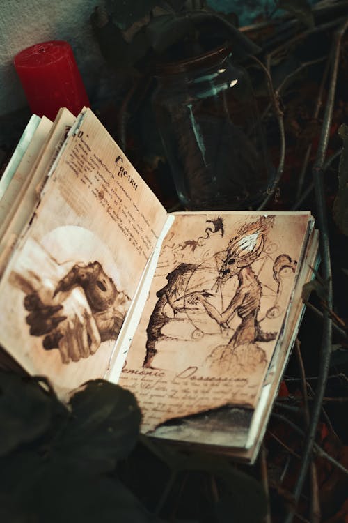 Gratis arkivbilde med antikk, bok, illustrasjoner