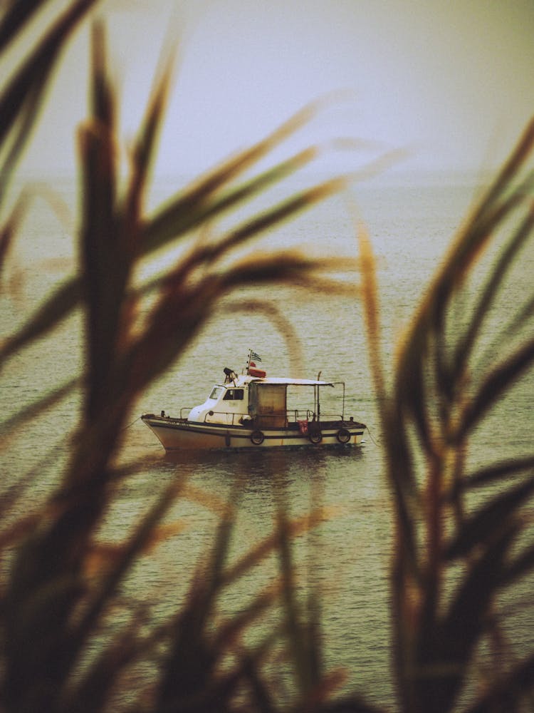 Small Cabin Boat Sailing On Lake