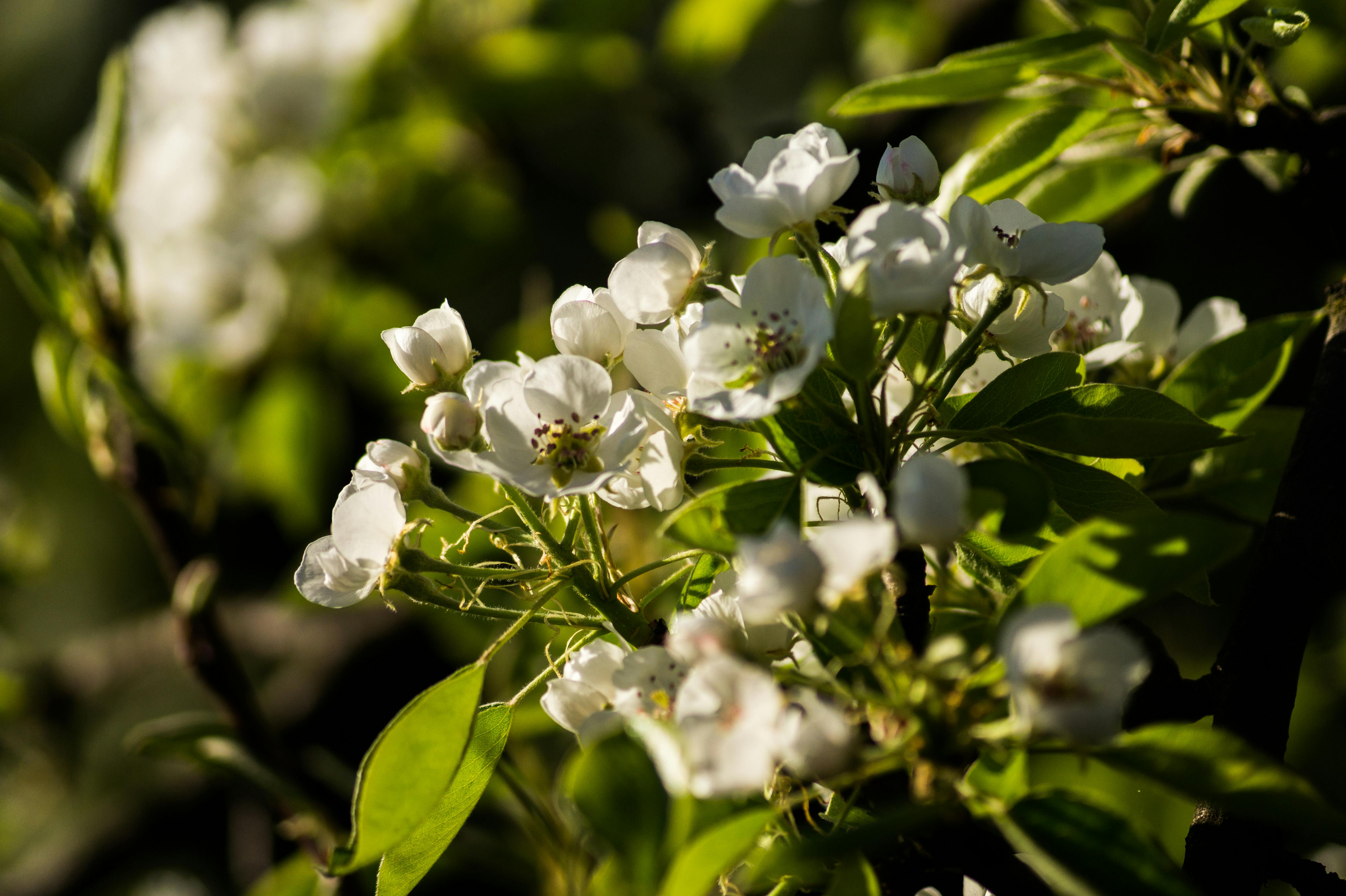 Irrigation Systems service in Edison, NJ