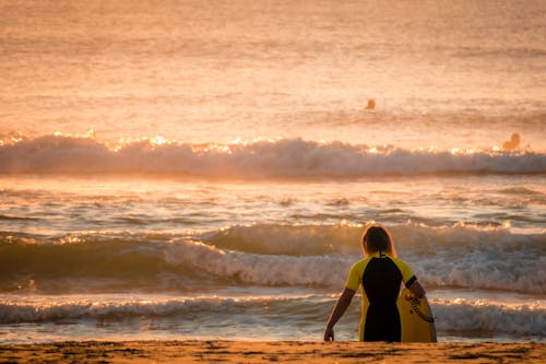 人, 水, 波の無料の写真素材