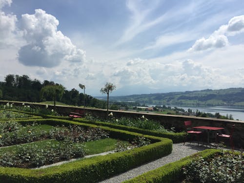 Gratis stockfoto met bloemen, bomen, doolhof