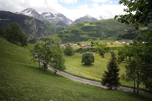 Road Beside Mountains