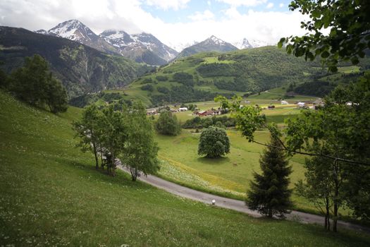 Scenic landscape of Sachseln, featuring lush greenery and snow-capped mountains.