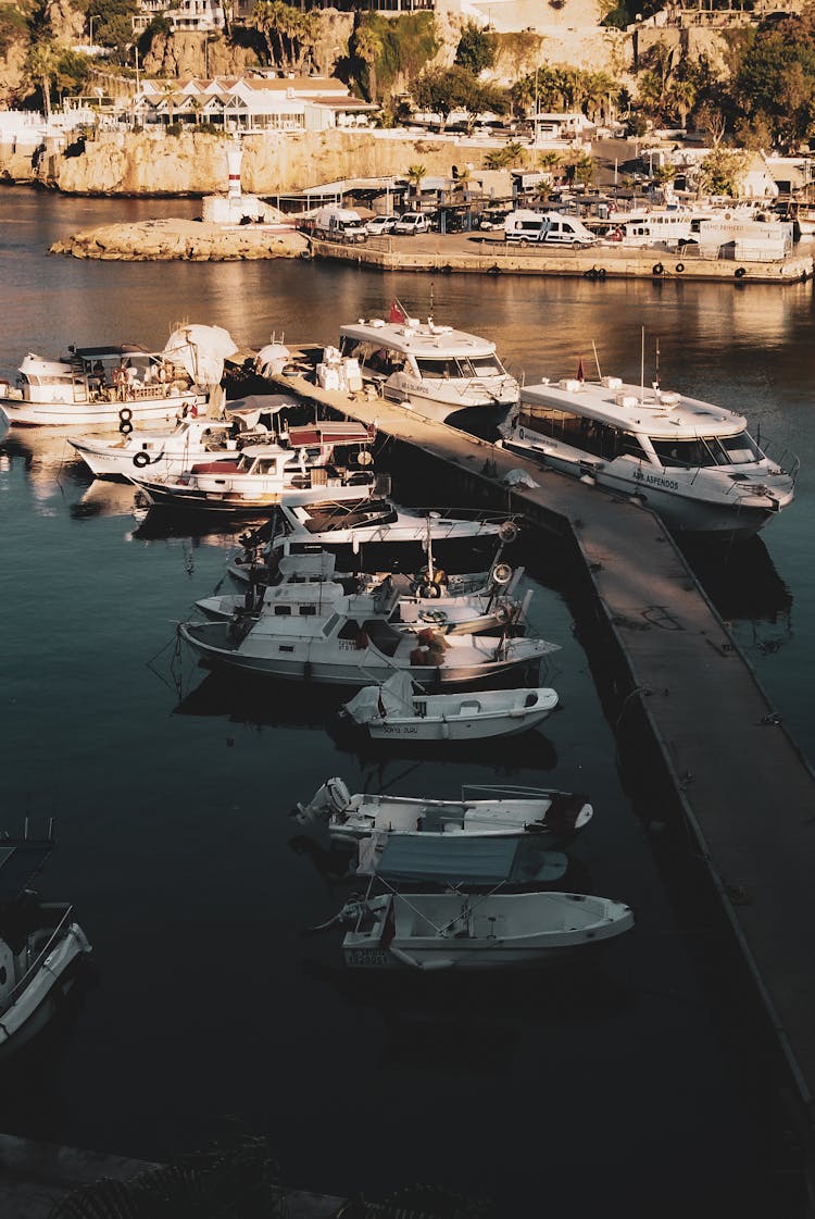 Boats Moored In Harbor