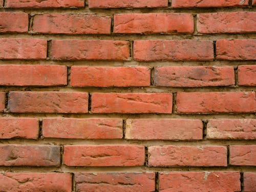 A Close-up Shot of a Brick Wall
