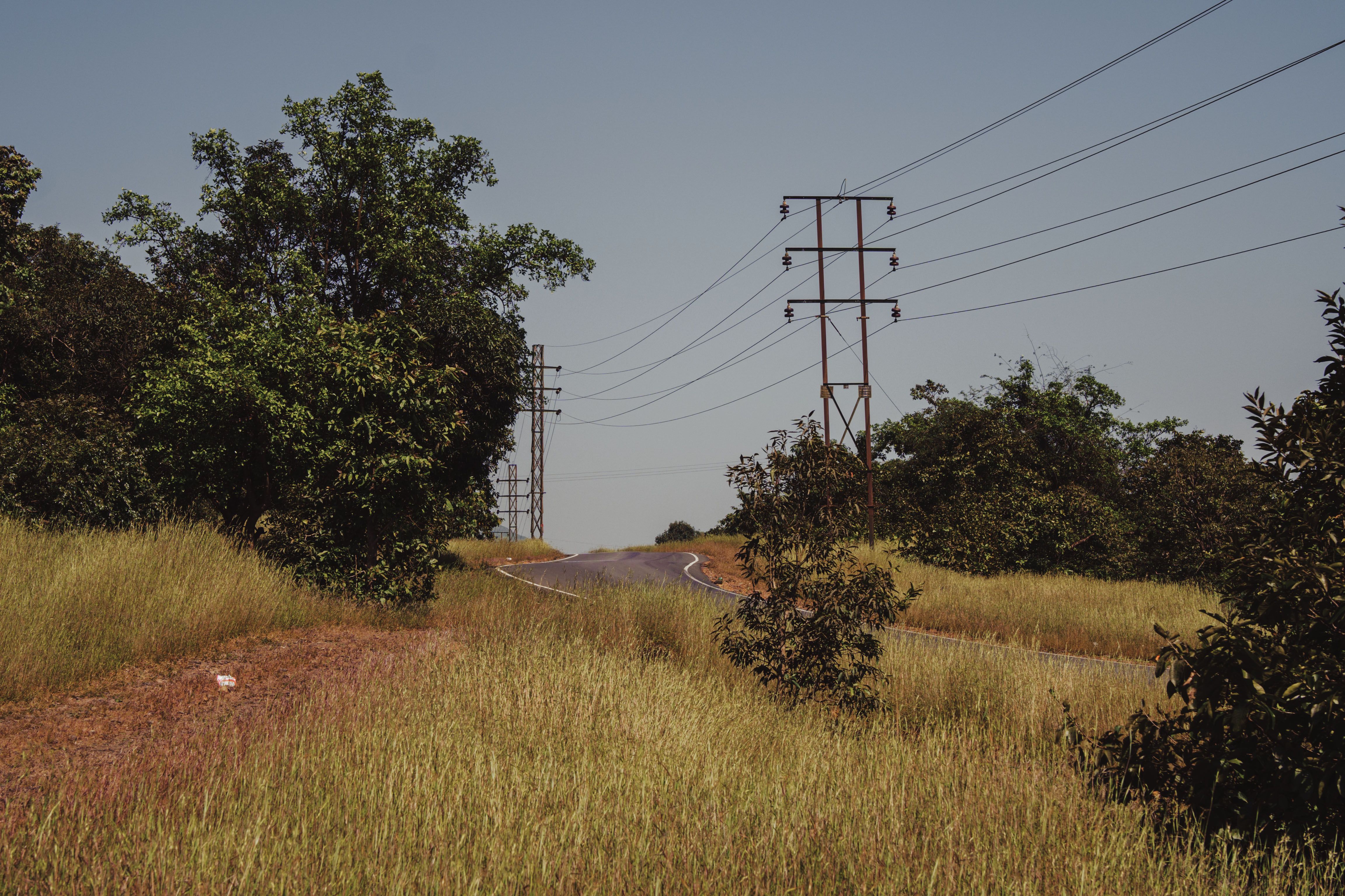 A tranquil rural road surrounded by greenery and power lines in Mulshi, India.