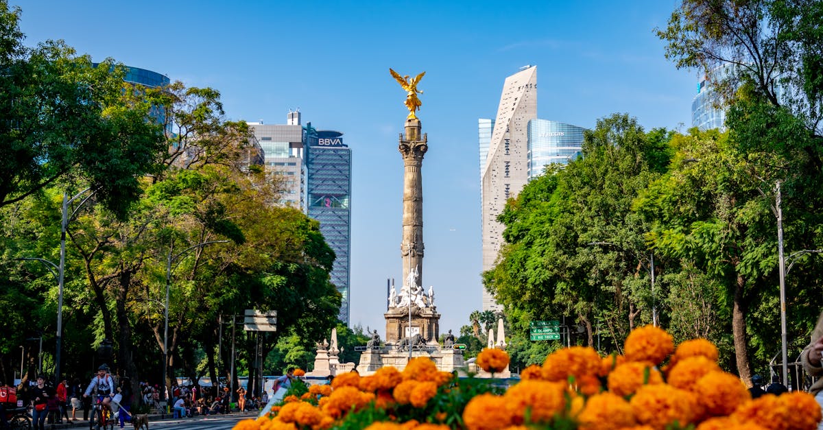 Paseo De La Reforma Mexico City Street With Monuments Skyscrapers And Trees