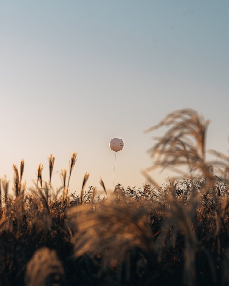 Balloon Flying Over The Farm Land