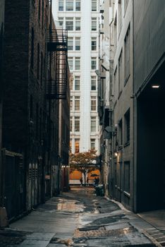 A city alley with a focus on urban architecture and moody lighting at twilight.