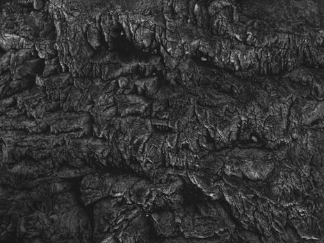 A detailed black and white photograph showcasing the intricate textures of a rocky surface.