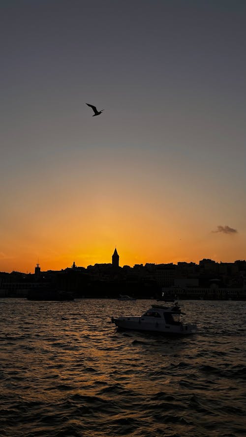 Photos gratuites de coucher de soleil, galata, heure dorée