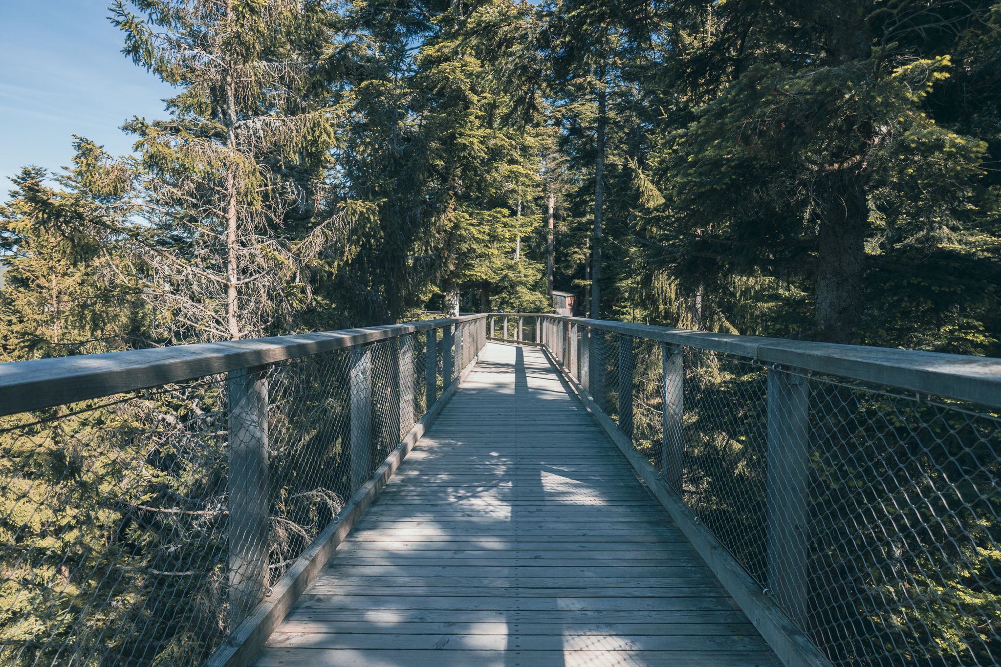 Do Banki Canopy Walkway