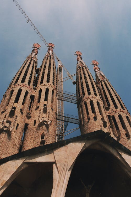 Kostnadsfri bild av barcelona, byggnad, katedral