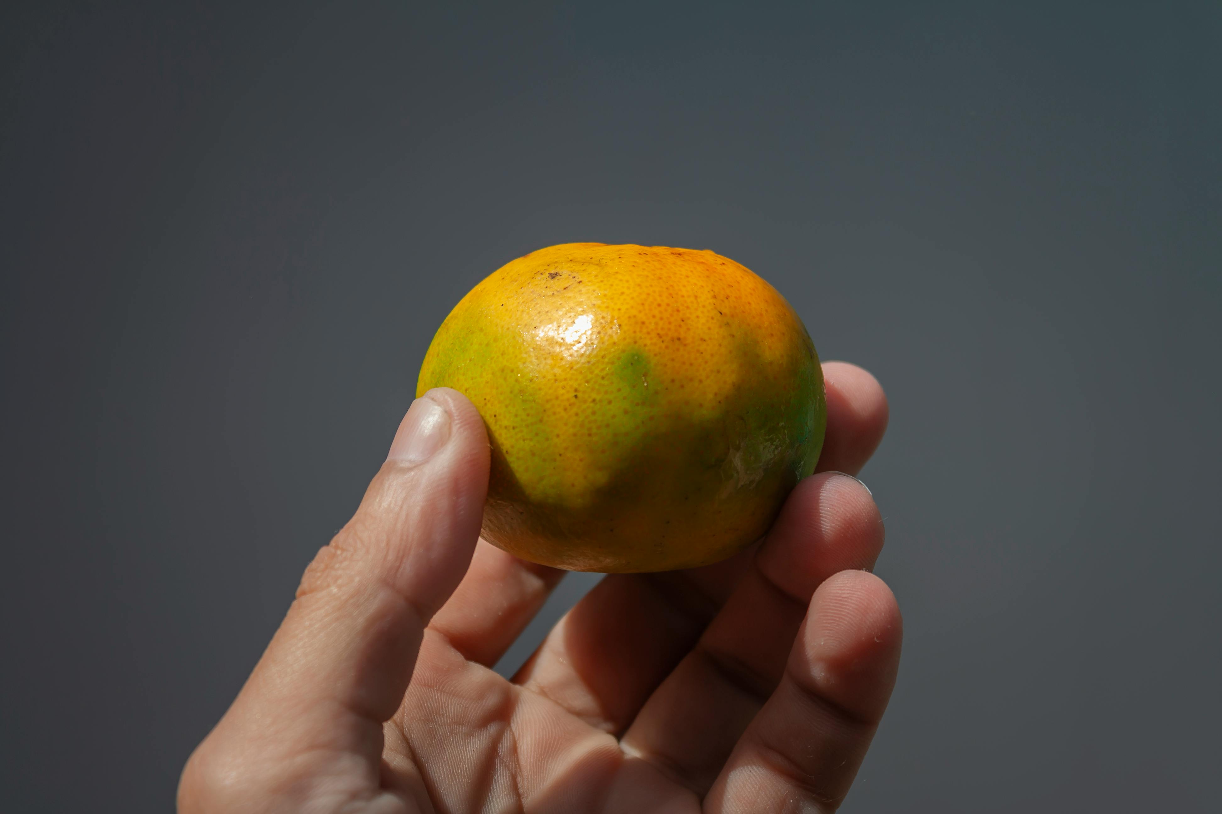 Photo by Arturo Añez