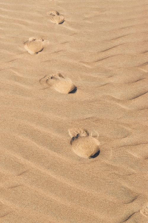 Free Footprints trail across rippled sand dunes in the Ica Desert, Peru. Stock Photo