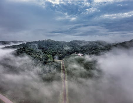 Captivating aerial view of a mist-covered forest and farmland in Urne, Wisconsin, highlighting natural beauty.