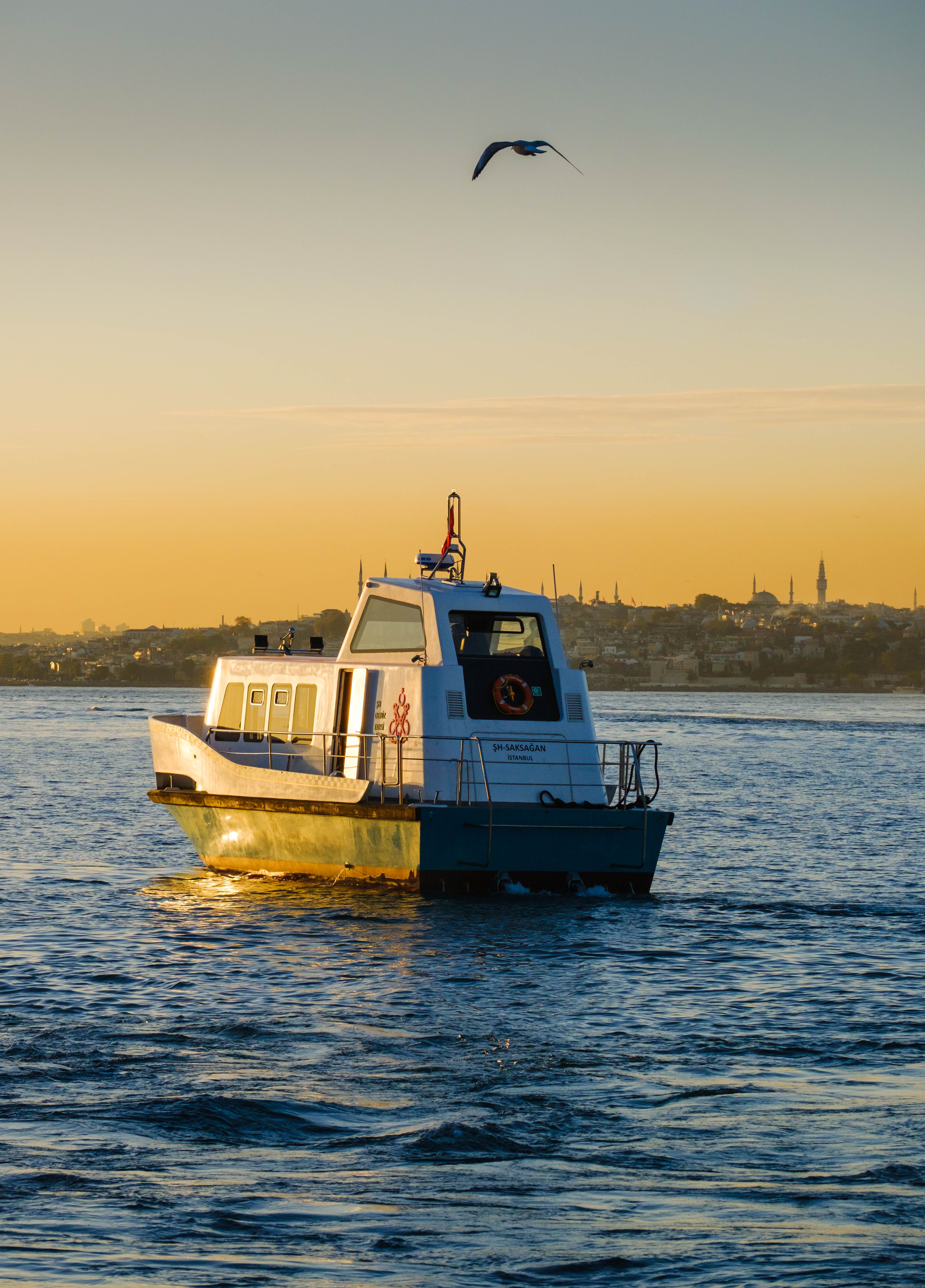Seagull over Motorboat on Bosporus in Istanbul at Sunset · Free Stock Photo