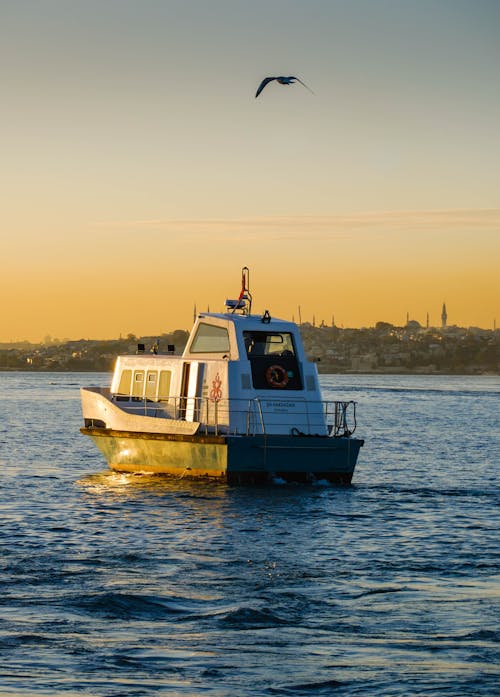 Seagull over Motorboat on Bosporus in Istanbul at Sunset