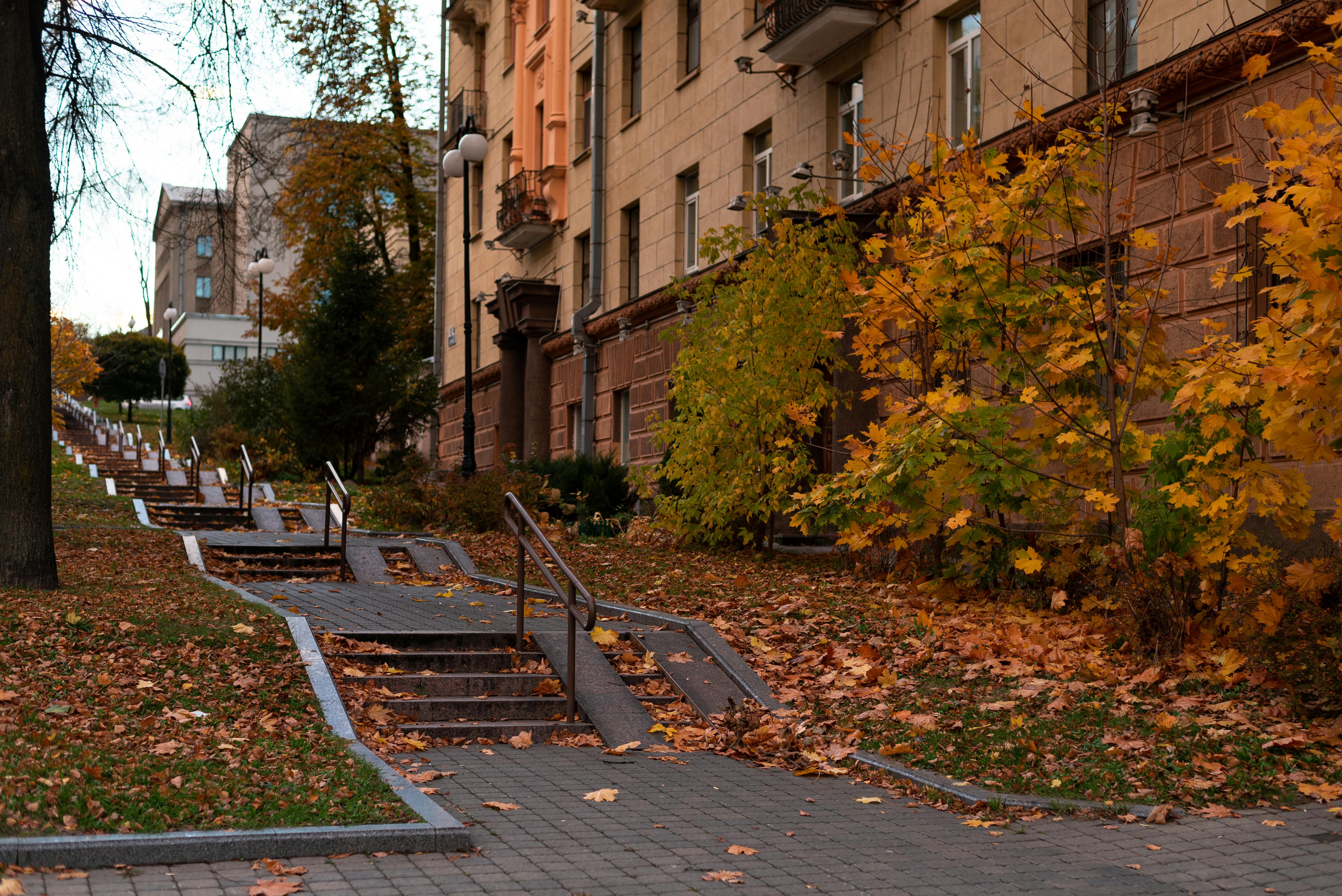 Invoking Divine Guidance: Power of Good Morning Blessings