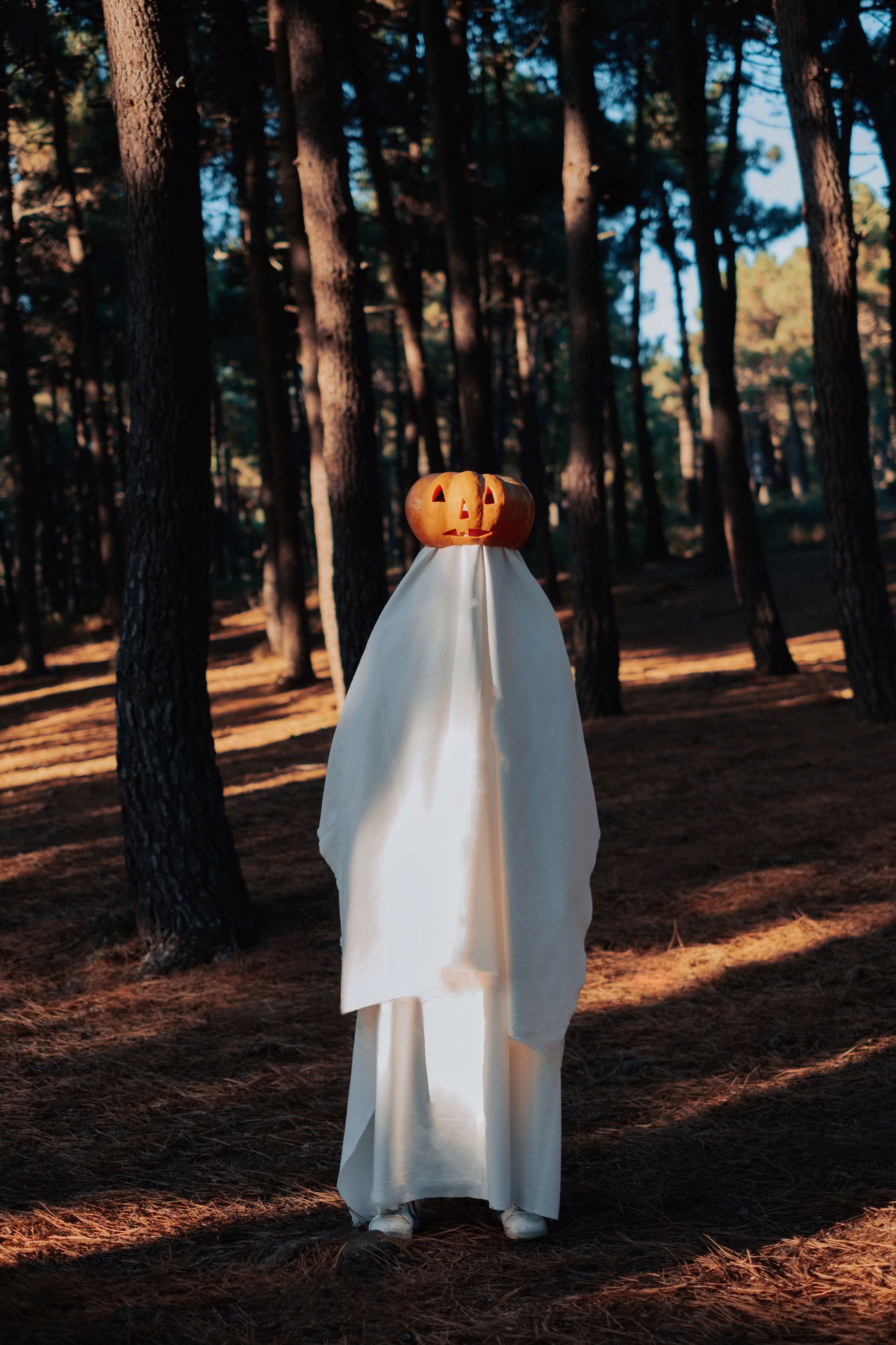 A Person Wearing a Costume in a Forest · Free Stock Photo