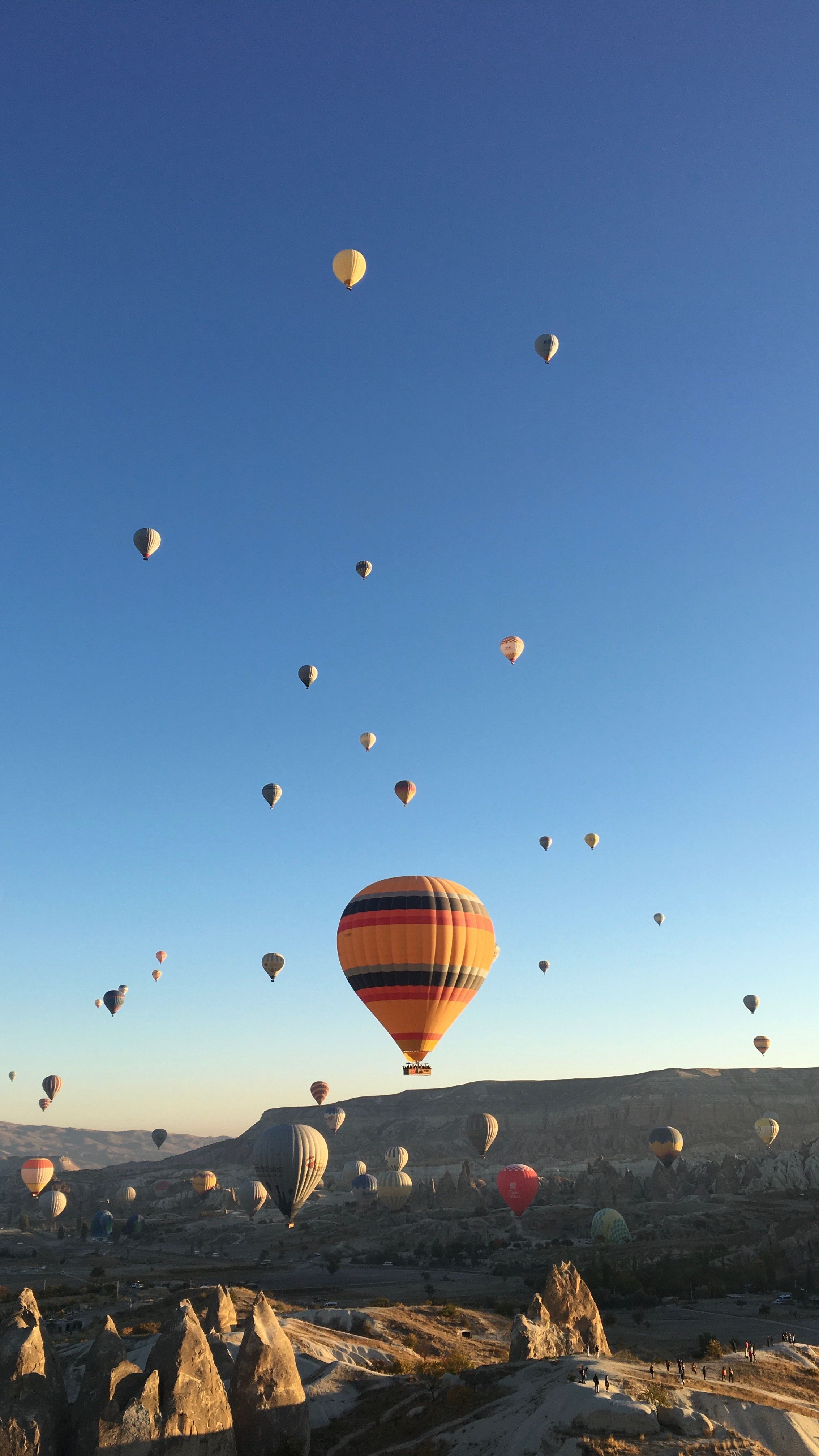Flying Hot Air Balloons in the Sky · Free Stock Photo