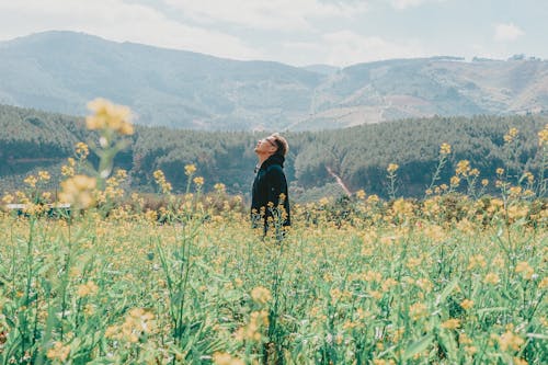 Man Standing on Yellow Rapeseed Flower Field Across Mountains