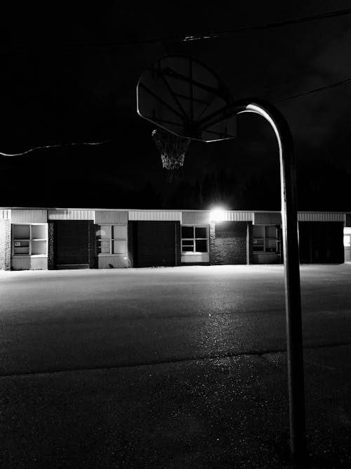 Free stock photo of basketball, black and white, calm